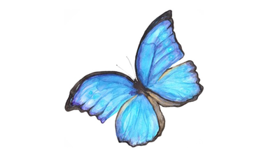 Me, butterfly