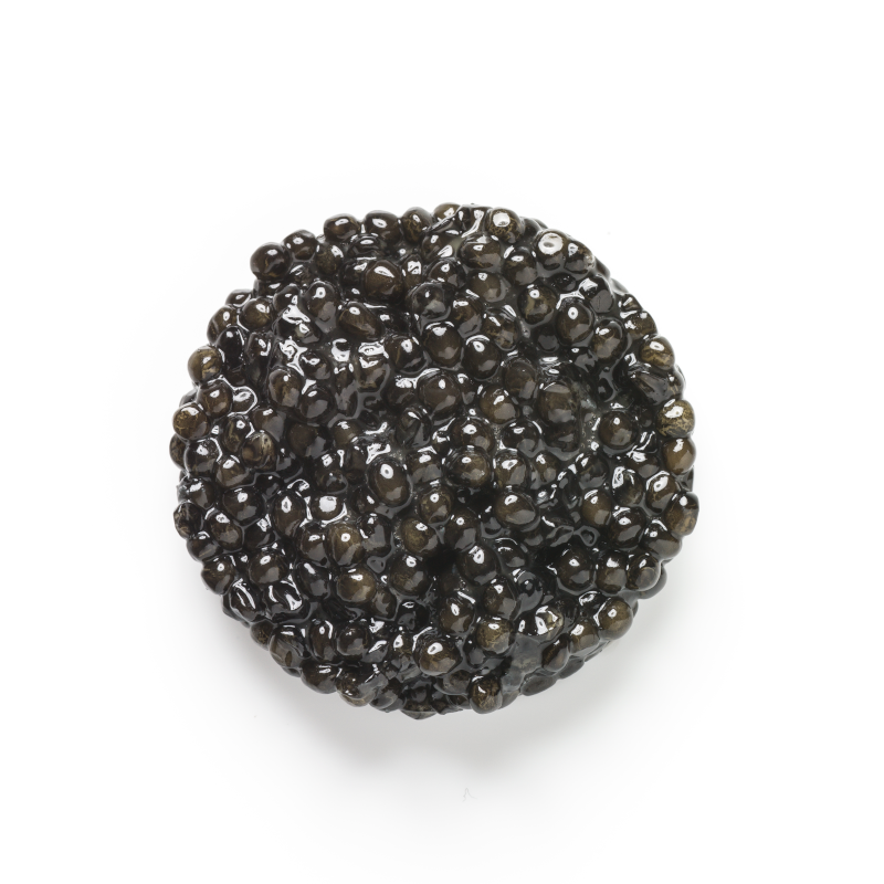 Caviar transmontanus - Milouin.com