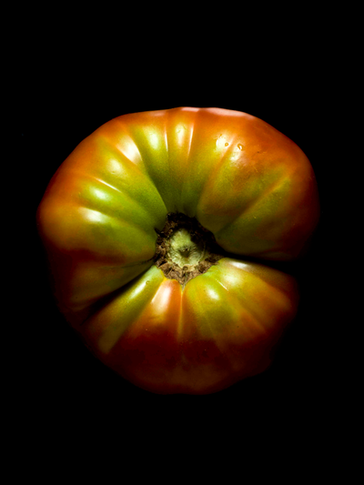 Tomate 3 - Milouin.com