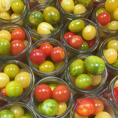 SMALL TOMATOES - Old variety, multicolored preserved in water and Guérande salt (organic)