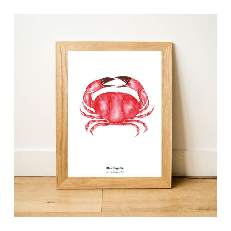 POSTER - Red Crab