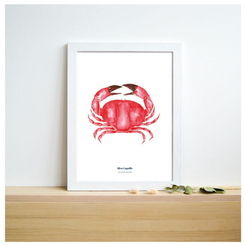 AFFICHE - Crabe rouge