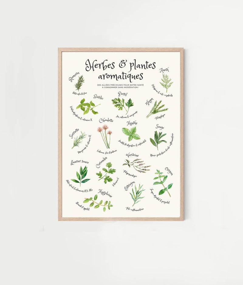 POSTER - Herbs and aromatic plants