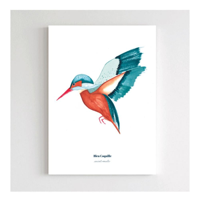 POSTER - Kingfisher