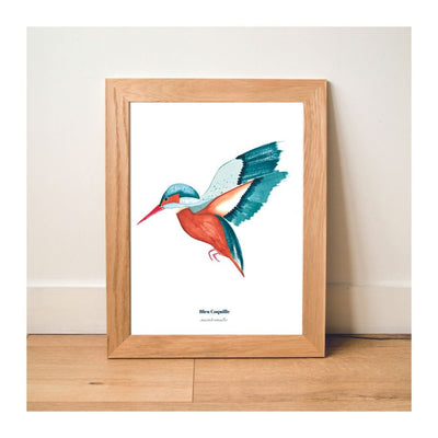 POSTER - Kingfisher
