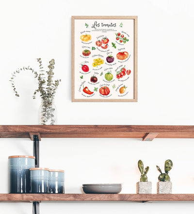 AFFICHE - Variétés de tomates aquarelle